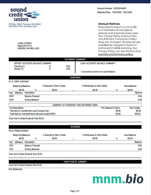USA Somerset Regal wyciąg z konta bankowego Word i szablon PDF